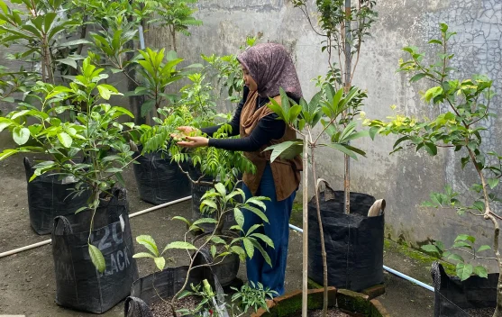 Aktivitas Berkebun di Rumah Efektif untuk Healing