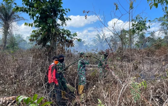 Karhutla di Nagan Raya Hanguskan Sekitar 95 Hektare Lahan