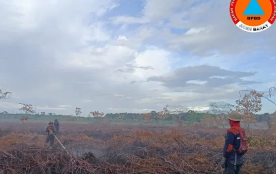 Karhutla di Bubon Kian Kondusif, BPBD Aceh Barat Tetap Lakukan Pemantauan