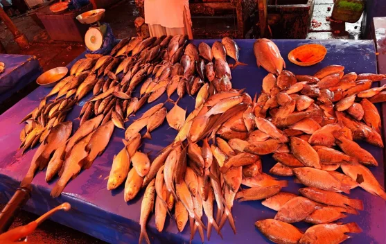 Harga Ikan Naik, Daya Beli Masyarakat Turun