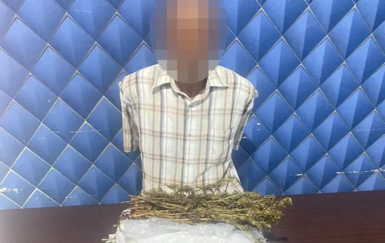 Polres Aceh Barat Sita 1,5 Kilogram Ganja dan Amankan Seorang Tersangka