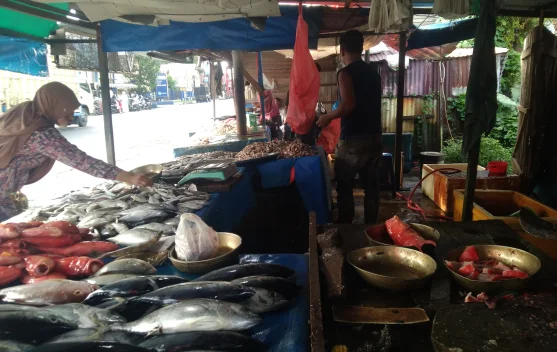 Kendati Cuaca Buruk Harga Ikan  Relatif  Stabil di Meulaboh