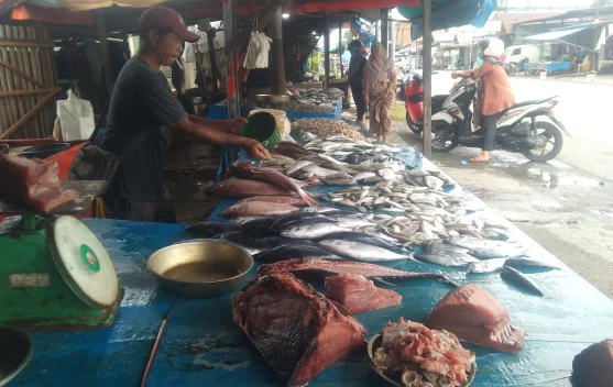 Harga Ikan Segar di Meulaboh Stabil pada Akhir Juni 2026