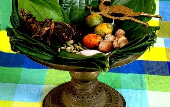 Manfaat Makan Sirih Bagi Orang Dewasa