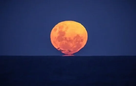 Fenomena Strawberry Moon Hiasi Langit Malam