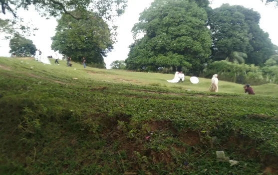 Bukit Oskar Geunang Geudong Jadi Lokasi Favorit Foto Prawedding Catin
