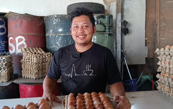 Harga Telur Ayam Ras di Meulaboh Turun Rp7 Ribu Per Papan