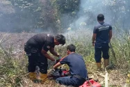 Seluas Dua Hektar Lahan Terbakar di Kecamatan Samatiga
