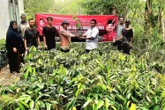 Jamaluddin Idham Bagikan 7.500 bibit, Genjot Ekonomi Hijau Petani Aceh