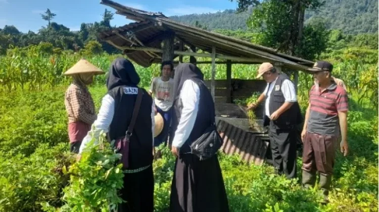 Petani Binaan BAZNAS Nabire Panen Raya Kacang Tanah