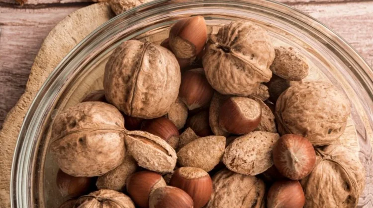 Buah Cola, Sumber Kafein Alami dari Afrika yang Kini Mendunia