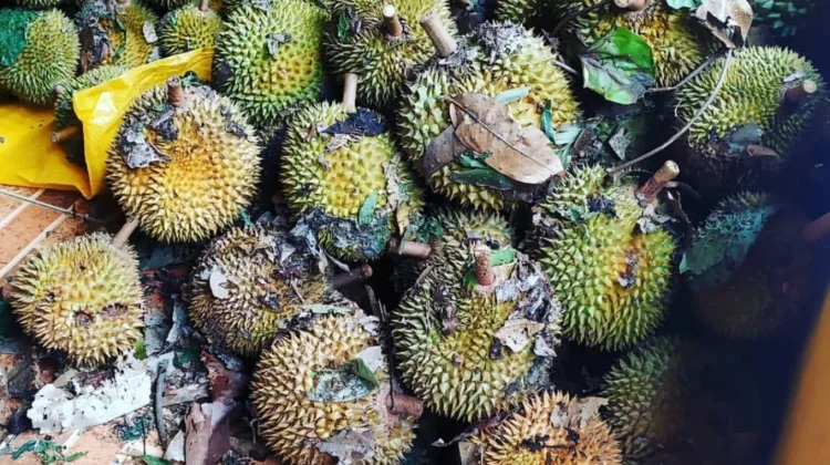 Buah yang Sebaiknya Dihindari saat Berbuka Puasa