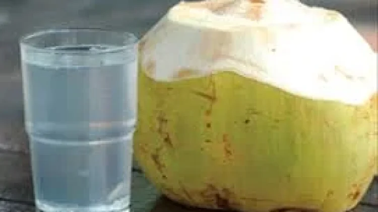 Tips Memanfaatkan Air Kelapa untuk Menjaga Kesehatan