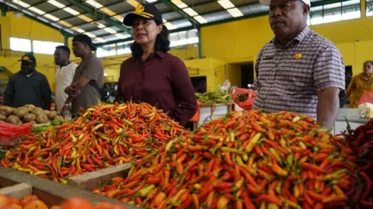 Harga Cabai Rawit di Mimika Tembus Rp120 Ribu/Kg