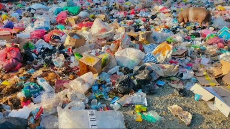 Masyarakat Terus Diedukasi  Kurangi Pengunaan  Kantong Plastik saat Beraktifitas