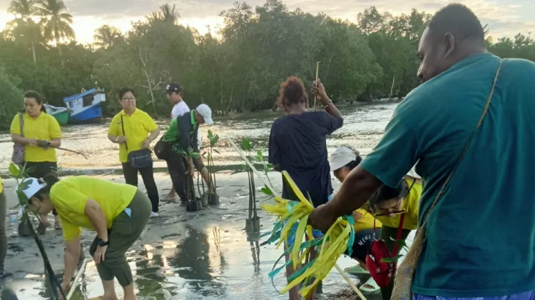 DLHKP PT Mendukung Penuh Aksi Penanaman Pohon,  KBI Papua Tengah
