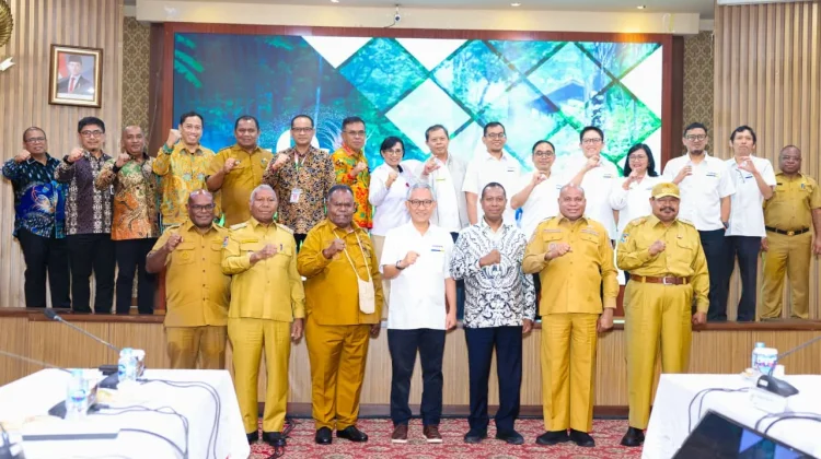 Sinergi Pusat dan Daerah, Gubernur Meki Ikut Audiensi Dirjen Perimbangan Keuangan