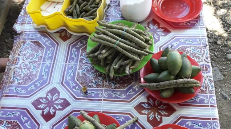 Tradisi Mengunyah Sirih & Pinang di Papua dan Manfaatnya bagi Kesehatan