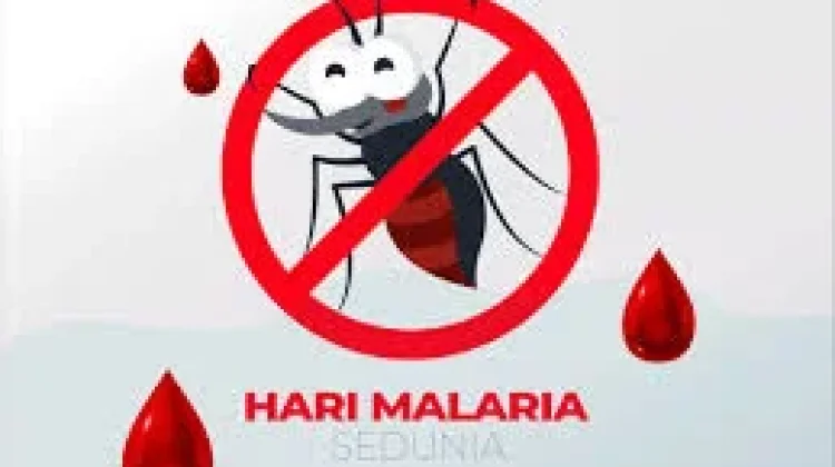Hari Malaria Internasional 25 April Bersatu Melawan Penyakit Mematikan