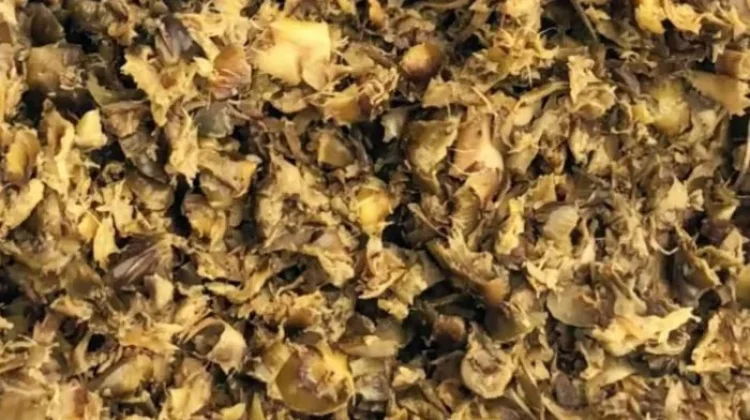 Manfaat Kulit Nanas Kering untuk Detoks dan Imun