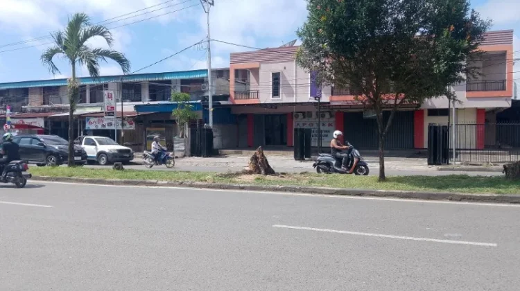Menuju Adipura DLH Nabire Butuh Dukungan Semua Pihak