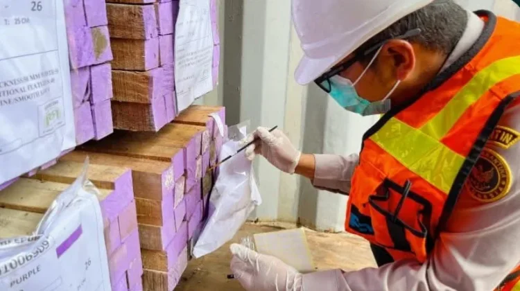 Cegah OPTK, Karantina Papua Tengah Periksa 6 Kontainer Kayu Gergajian
