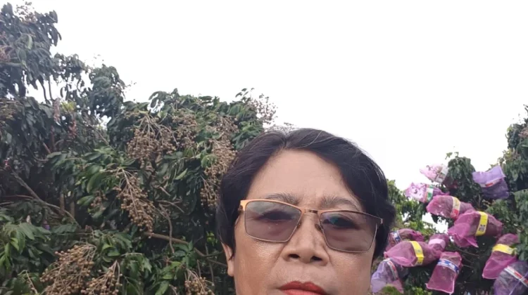 Petani Buah di Nabire Memasuki Masa Panen