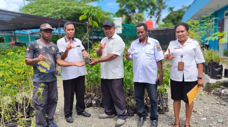 DLHKP PT Kembali Menyerahkan Bantuan bibit tanaman ke Klasis GKI Nabire