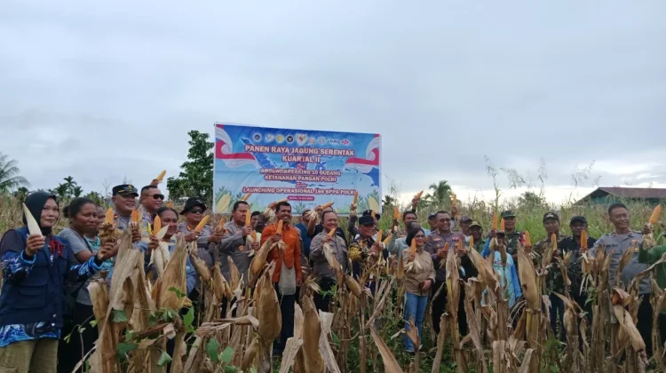 Polda Papua Tengah Panen Raya Jagung di Nabire, Dukung Ketahanan Pangan Nasional