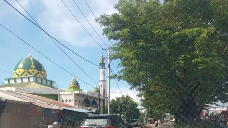 Penggunaan Lampu Rem Putih pada Towing Bar Mobil