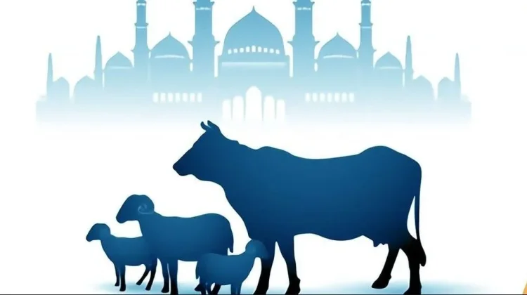 Mengenal Sejarah dan Makna Ibadah Kurban dalam Islam