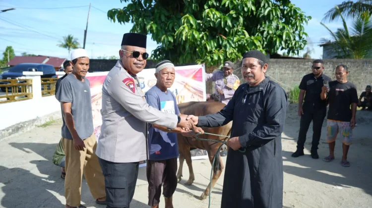 Idul Adha 1447 H, Kapolda Papua Tengah Salurkan Hewan Kurban untuk Warga Nabire