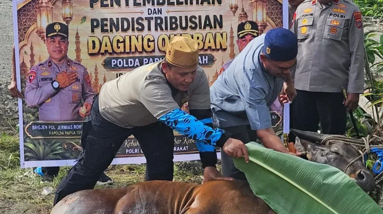 Kapolda Papua Tengah Bagikan Kurban ke Panti Asuhan dan Warga, Ajak Jaga Keamanan
