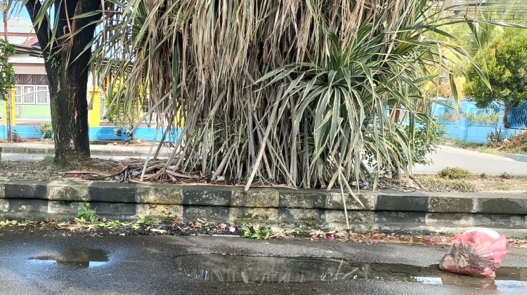 Pengendara Mengeluhkan Genangan Air di Jalan Merdeka Nabire