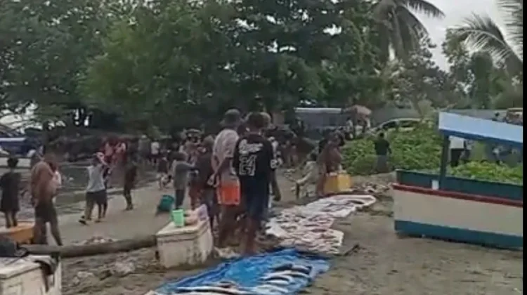 Pasar Ikan Dadakan Tiap Akhir Pekan di Nabire
