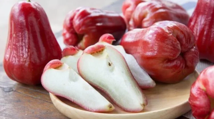 Macam-Macam Buah Jambu yang Populer di Indonesia, Kaya Rasa dan Manfaat