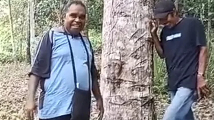 Petani Bahagia Pohon Durian Berbunga Lagi