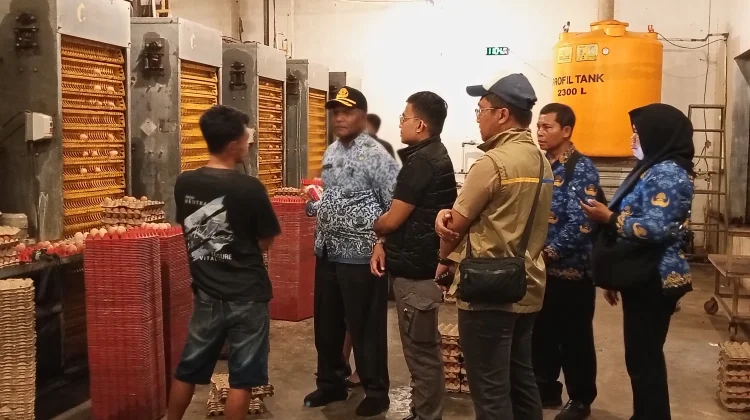 Telur Ayam Ras dan Cabai Rawit Mengalami Kenaikan Signifikan di Nabire