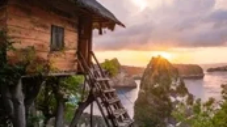Tips Membuat Rumah Pohon  Mudah dan Ramah Lingkungan