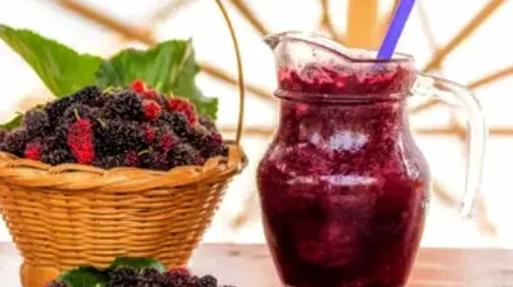 Segelas Jus Murbei, Pilihan Minuman Bernutrisi untuk Mendukung Fungsi Hati