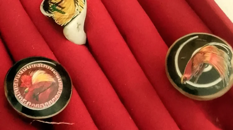 Kreativitas Beatrik Manggo Basik, Sulap Cangkang Siput Menjadi Kerajinan Tangan