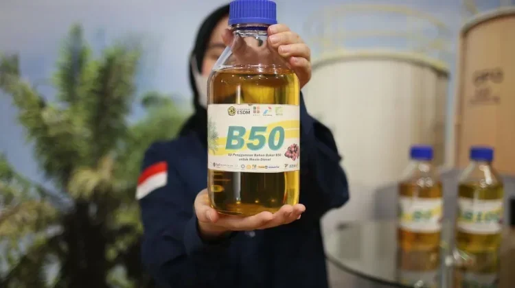 Pemerintah Resmi Tetapkan B50, Berlaku Mulai 1 Juli 2026