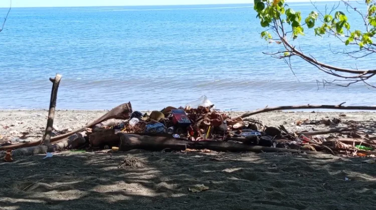 Gerakan Cinta Laut, DLH Nabire Ajak Warga Tidak Membuang Sampah Kelaut