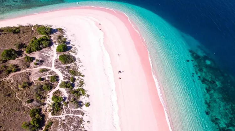Pesona Pantai dengan Pasir Terunik di Indonesia, Keajaiban Alam yang Mendunia