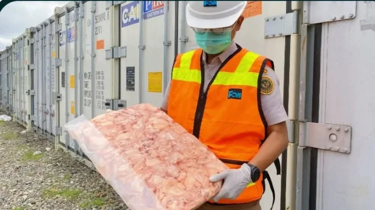 Jaga Keamanan Pangan, Karantina Papua Tengah Awasi Masuknya 34 Ton Daging Ayam Beku