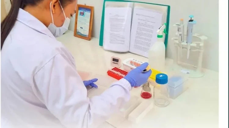 Pastikan Mutu Pengujian, Karantina Papua Tengah Uji Serologi Avian Influenza