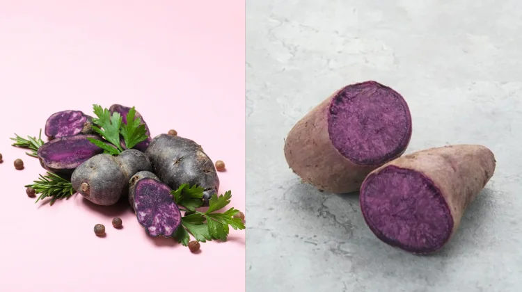 Sering Dianggap Sama, Ini Perbedaan Ube dan Ubi Ungu