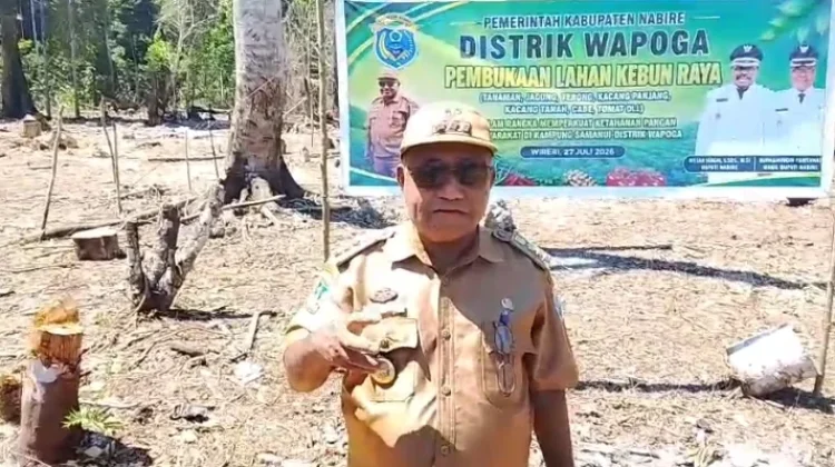 Kebun Raya di Distrik Wapoga di Harapkan Dapat Meningkatkan Ketahanan Pangan
