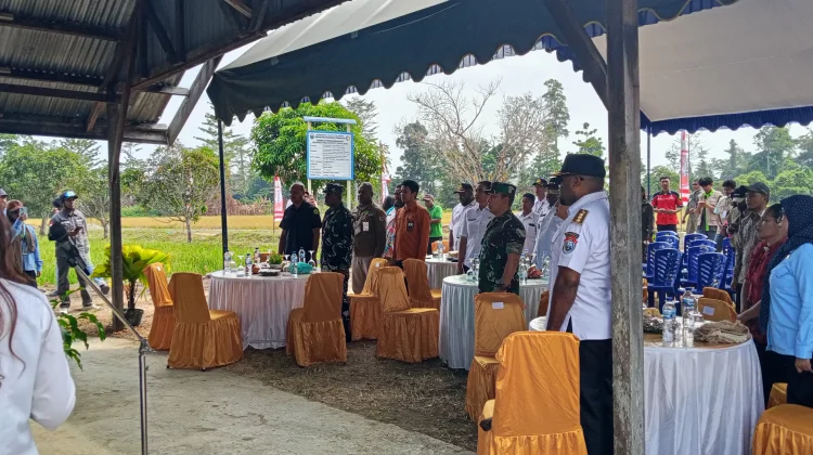 Panen Perdana Padi Biofortifit, Menjadi Pemicu Semangat Memperluas Area Tanam