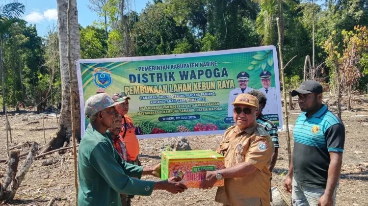 Pembukaan Lahan Kebun di Kampung Samanui Distrik Wapoga Nabire